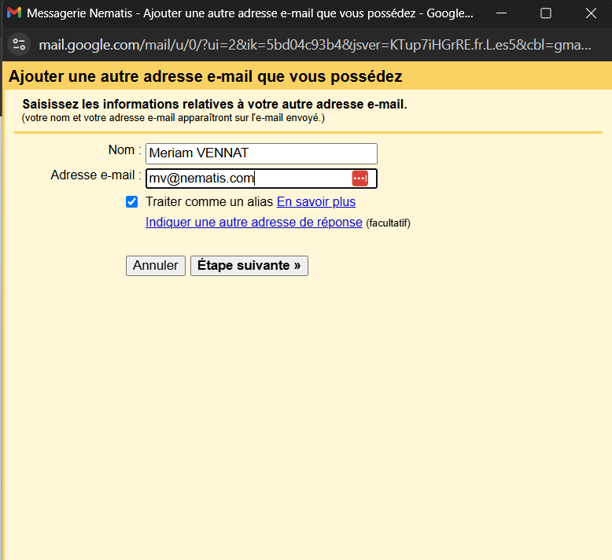 Capture décran 2024-10-25 160044