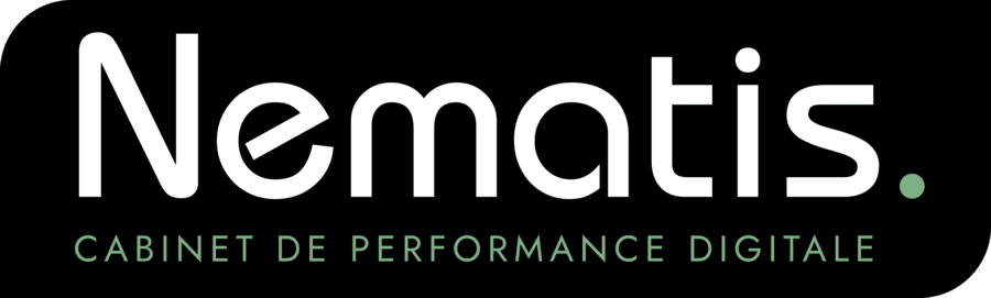 Nematis, Cabinet de performance digitale